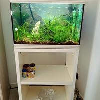 Acquario Askoll Pure L Led + Mobile originale