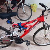 bicicletta ragazzo 12 anni