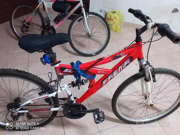 bicicletta ragazzo 12 anni