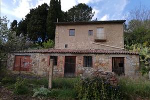Terreno con uliveto