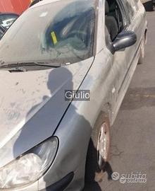 Per Peugeot 206 sw i seguenti ricambi