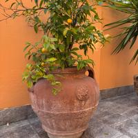 Vaso in terracotta