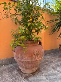 Vaso in terracotta