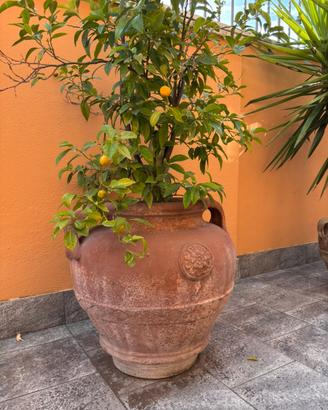 Vaso in terracotta