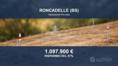 Immobile in asta di 48979 m² a Roncadelle