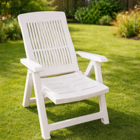 Due Sdraio per giardino