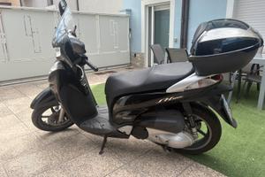 SH 300 2009