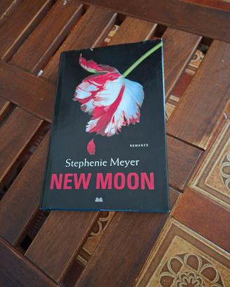 New Moon 
