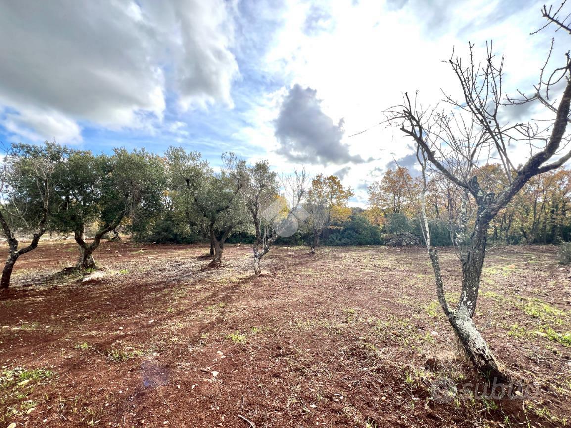 TER. AGRICOLO A CEGLIE MESSAPICA - Vista 3
