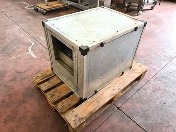 motore cassonato usato