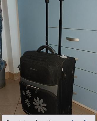 Trolley vari e valigie 