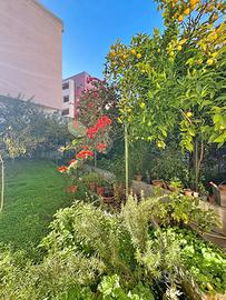 Casa Indipendente con Giardino