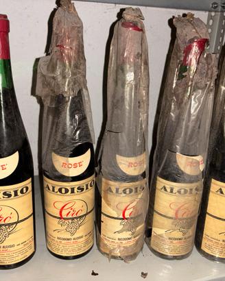 rose aloisio ciró nicodemo