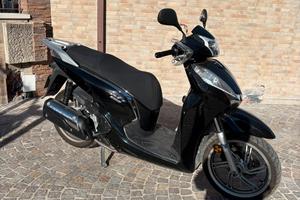 Sh 300 targa polacca