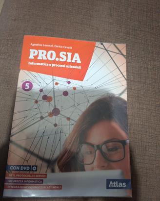 PRO.SIA Informatica e processi aziendali  5