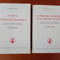 Analisi matematica + Geometria analitica: Ferrauto