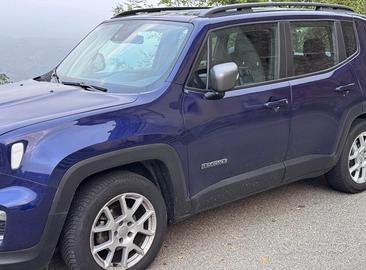 Jeep renegade 2019