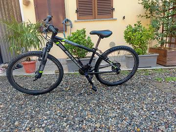 bicicletta