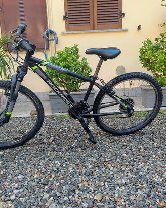 bicicletta