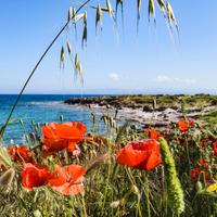 Accogliente con vista mare