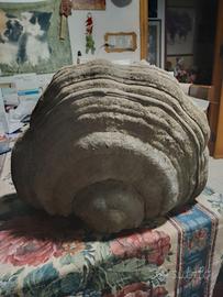 Fungo dell'esca decorativo L 33 cm H 25 S 14 2 kg