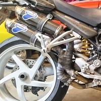 Terminali Ducati Monster S2R/S4R 