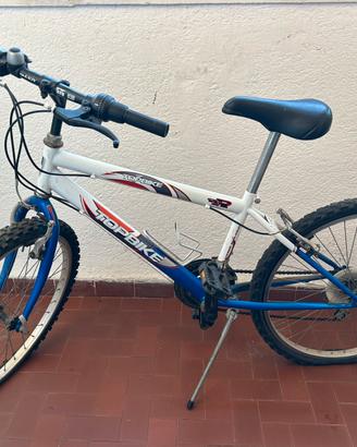 Mountain Bike Topbike 24”