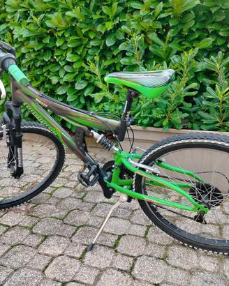 bicicletta per bambino