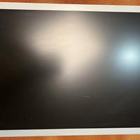 display ACER AT2002