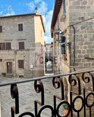 Trilocale in centro storico Abbadia San  Salvatore