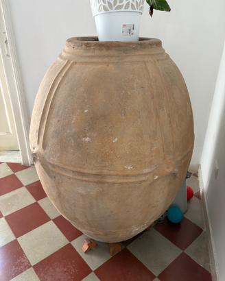 Orcio cilenano
