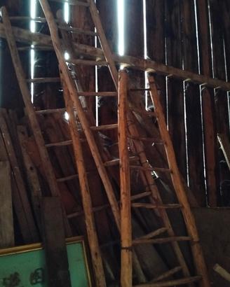 scale legno primi 900