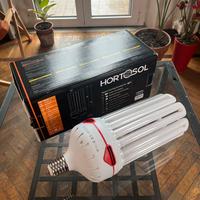 Lampada Hortosol CFL 200W 6400°K