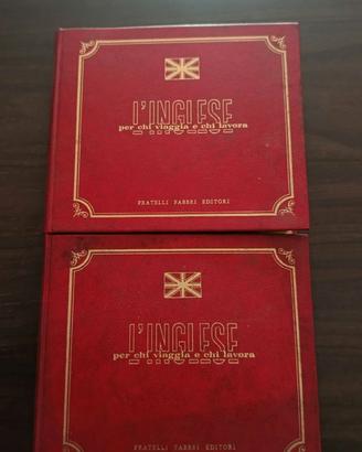 vinili l'inglese per chi viaggia e chi lavor