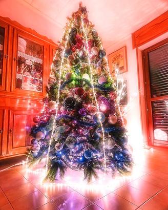 🟥⭐🎄PINO SIBERIANO⭐210X160⭐SPEDIZIONE INCLUSA⭐🟥