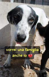 GIANNA 3 ANNI taglia media