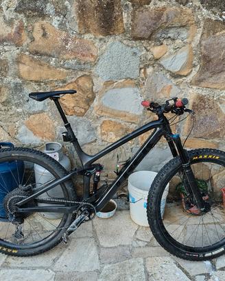 Trek fuel ex 