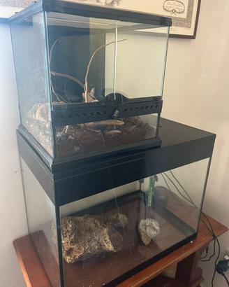 acquario e terrario