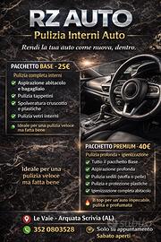Pulizia interna professionale auto