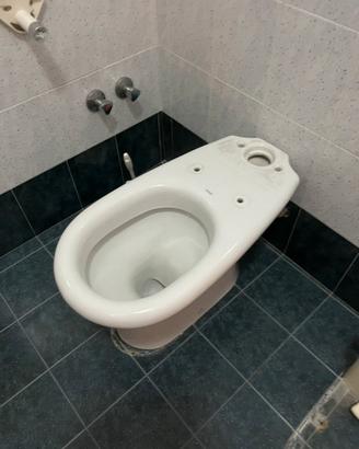 Cesame Aretusina water