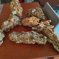 pietre decorative  Amtra per acquari 
