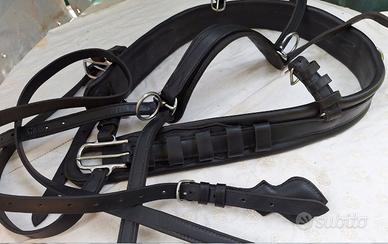 FINIMENTO per CAVALLI