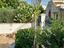 Immagine 21