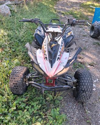MINI QUAD