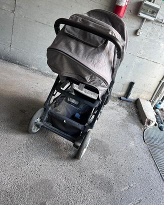 Passggino aptica inglesina