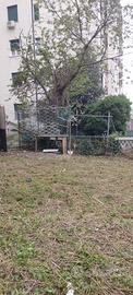 Vendita giardino zona San Fruttuoso Genova