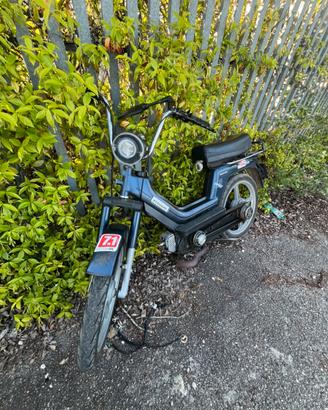 PIAGGIO SI 50