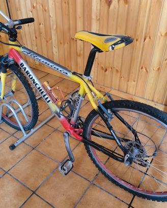 Mountain bike