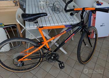 Bianchi Ragno Thomisus 