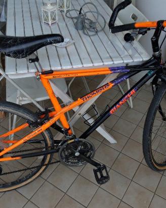 Bianchi Ragno Thomisus 